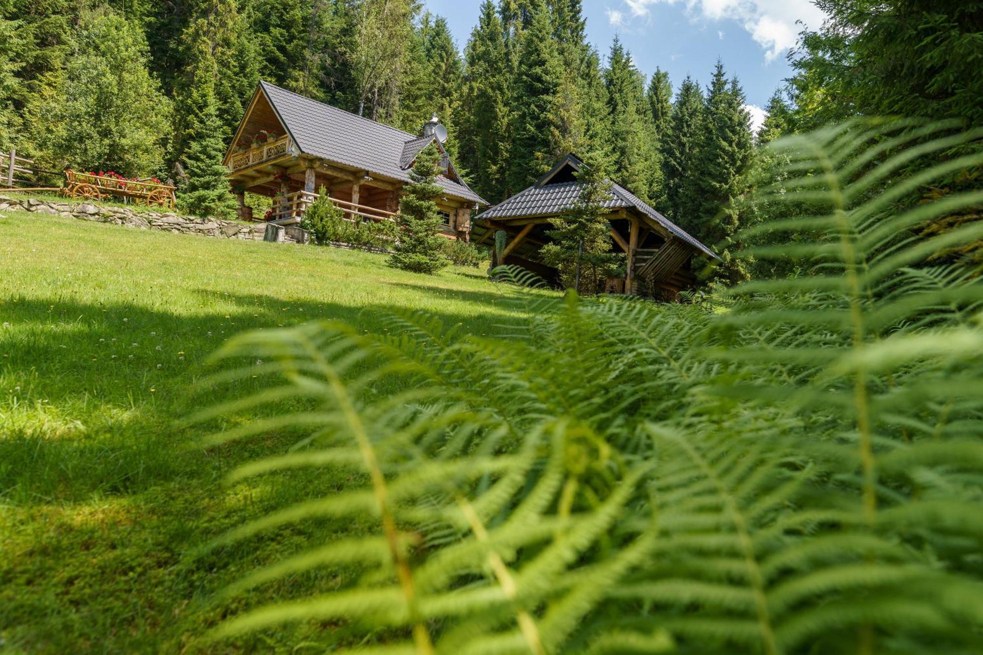 Villa Lesna Bacowka Neumarkt Exterior foto