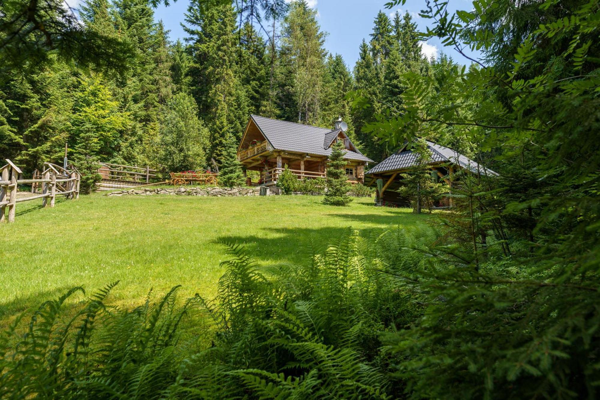 Villa Lesna Bacowka Neumarkt Exterior foto